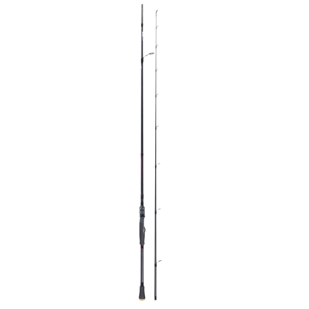 Robinson Cougar Pike Spin 2.70m 6-32g
