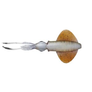 Silicone Bait-Savage-Gear-Swim-Squid-LRF-5cm-0.8g