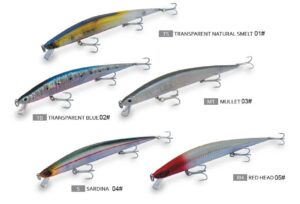dtd barracuda-all clrs