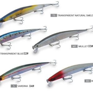 dtd barracuda-all clrs