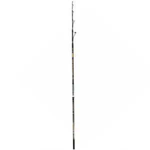 Oceanic Amberjack