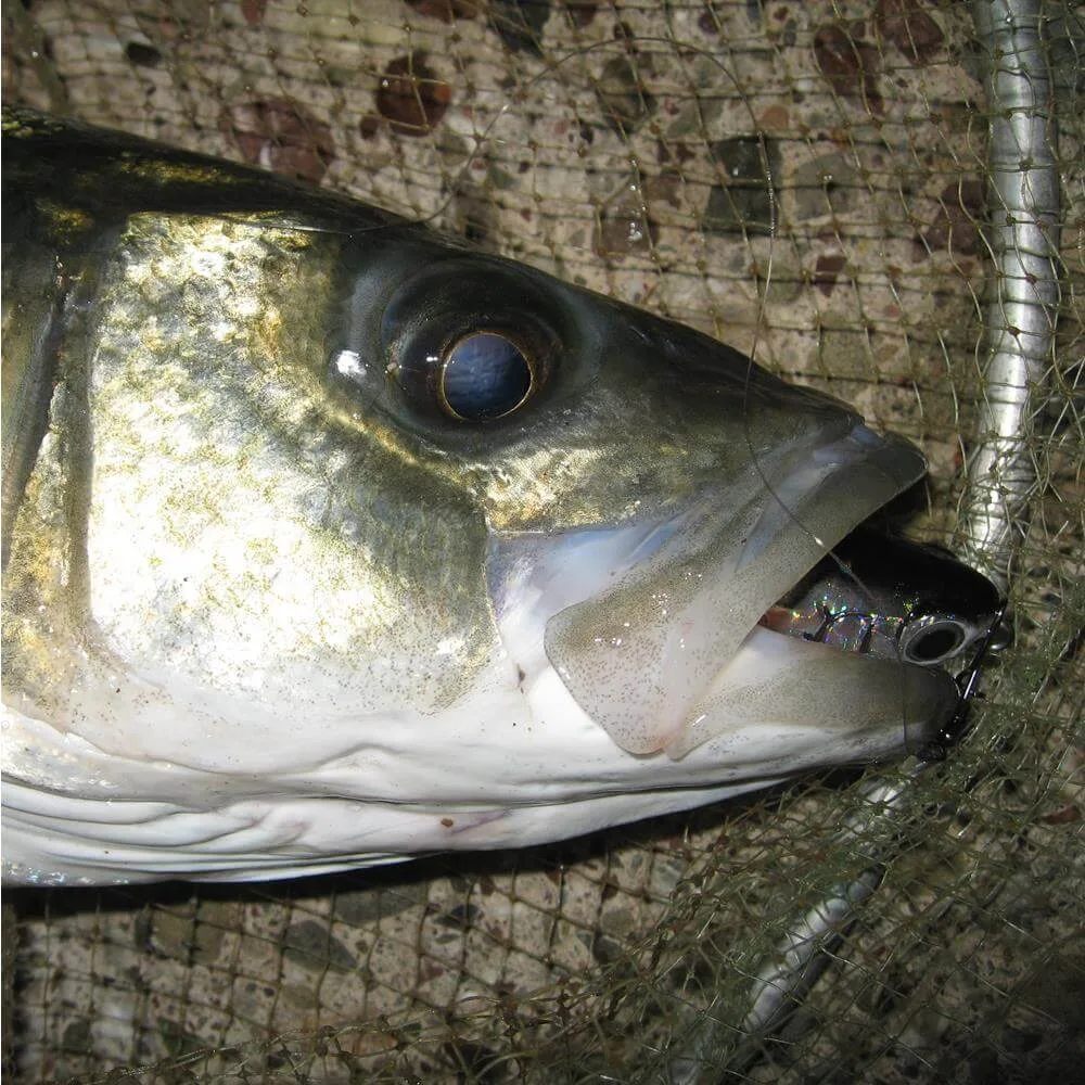 Τεχνητό Δόλωμα Soul Lures Kefalos