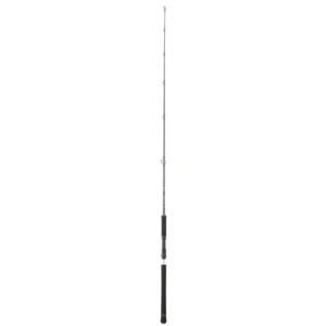Καλάμι Ψαρέματος Daiwa Legalis Jigging