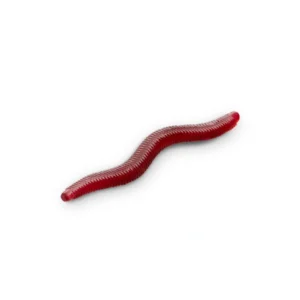 delphin stinxworm 4cm
