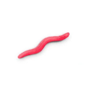 delphin stinxworm 4cm