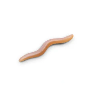 delphin stinxworm 4cm